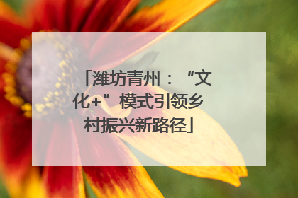 潍坊青州：“文化+”模式引领乡村振兴新路径